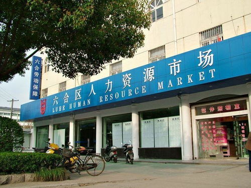 人力資源市場(chǎng)