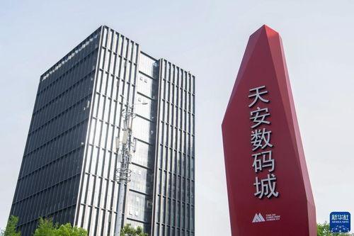 新華全媒 丨重慶 創(chuàng)新示范基地助大學(xué)生實(shí)現(xiàn)創(chuàng)業(yè)夢(mèng)