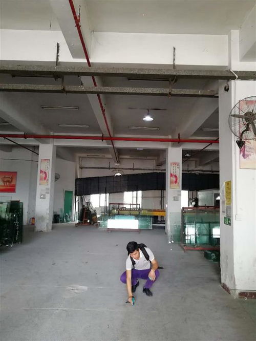 漳州市廠房驗廠安全檢測鑒定辦理機(jī)構(gòu)哪家好 新聞聯(lián)播